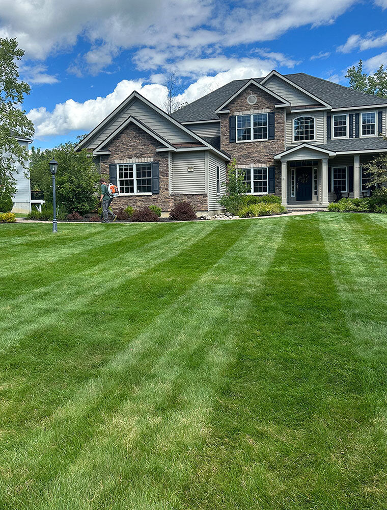 Freshly mowed striped lawn in front of a large home by TruEdge